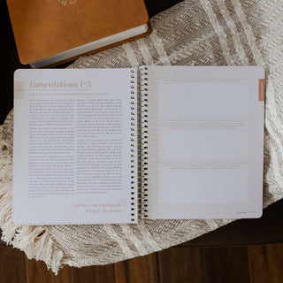 Eden to Eternity | Spiral Volume 3 Bible Study