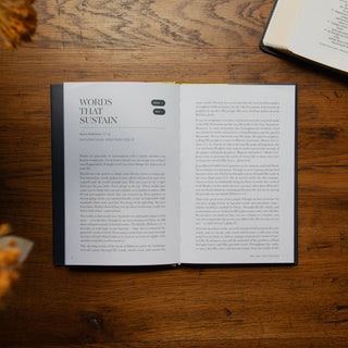 Sticks and Stones | Healing From Hurtful Words Bible Study