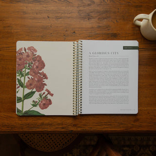 The Psalms Volume 3 | Psalms 101–150 Bible Study