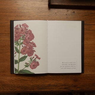 The Psalms Hardcover Bible Study | Volume 1
