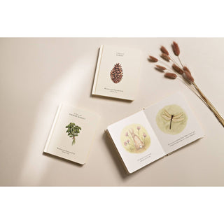 Our Little Adventures Board Book Box Set for Kids