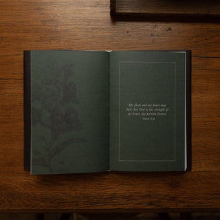 The Psalms Hardcover Bible Study | Volume 2