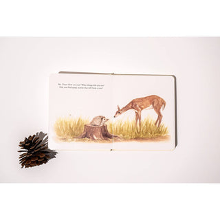 Our Little Adventures Board Book Box Set for Kids