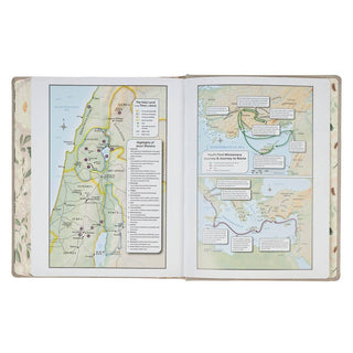 Trust Taupe Faux Leather Large Print KJV Note-Taking Bible