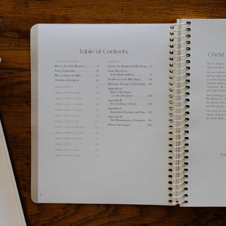 Christ in All of Scripture | Volume 4