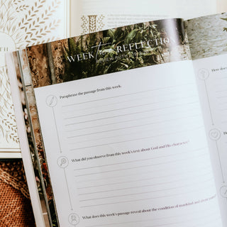 Ruth Study | Fields of Grace | The Daily Grace Co