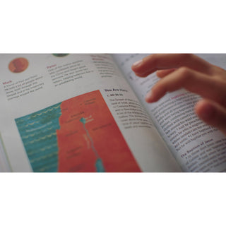 ESV The Biggest Story Holy Bible for Kids | Hardcover