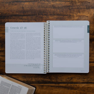 Eden to Eternity | The Chronological Story of Scripture