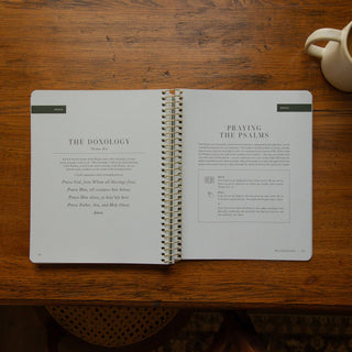 The Psalms Volume 3 | Psalms 101–150 Bible Study