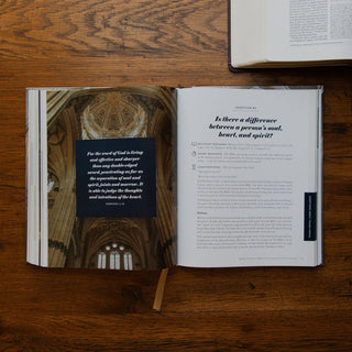 The Questions Handbook | Biblical Answers for Faith & Culture