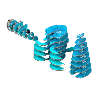 EUGY Turtle 3D Puzzle