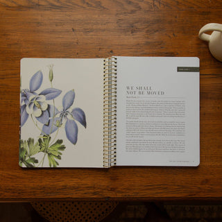 The Psalms Spiral Bible Study | Volume 1