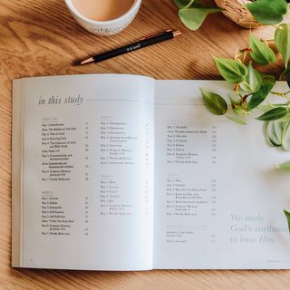 The Attributes of God | Study