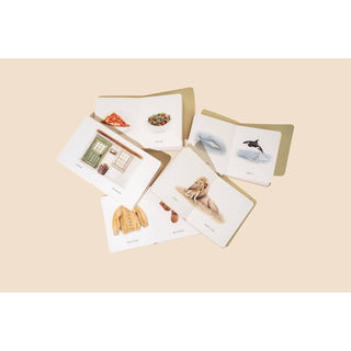 Our Little Library: First Words Board Book Box Set | Volume 2