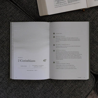 A Year in the Bible | Men's  Volume 4 Bible Study