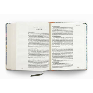 ESV Single Column Journaling Bible® | Artist Series