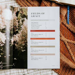 Ruth Study | Fields of Grace | The Daily Grace Co