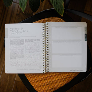 Eden to Eternity | Spiral Volume 4 Bible Study
